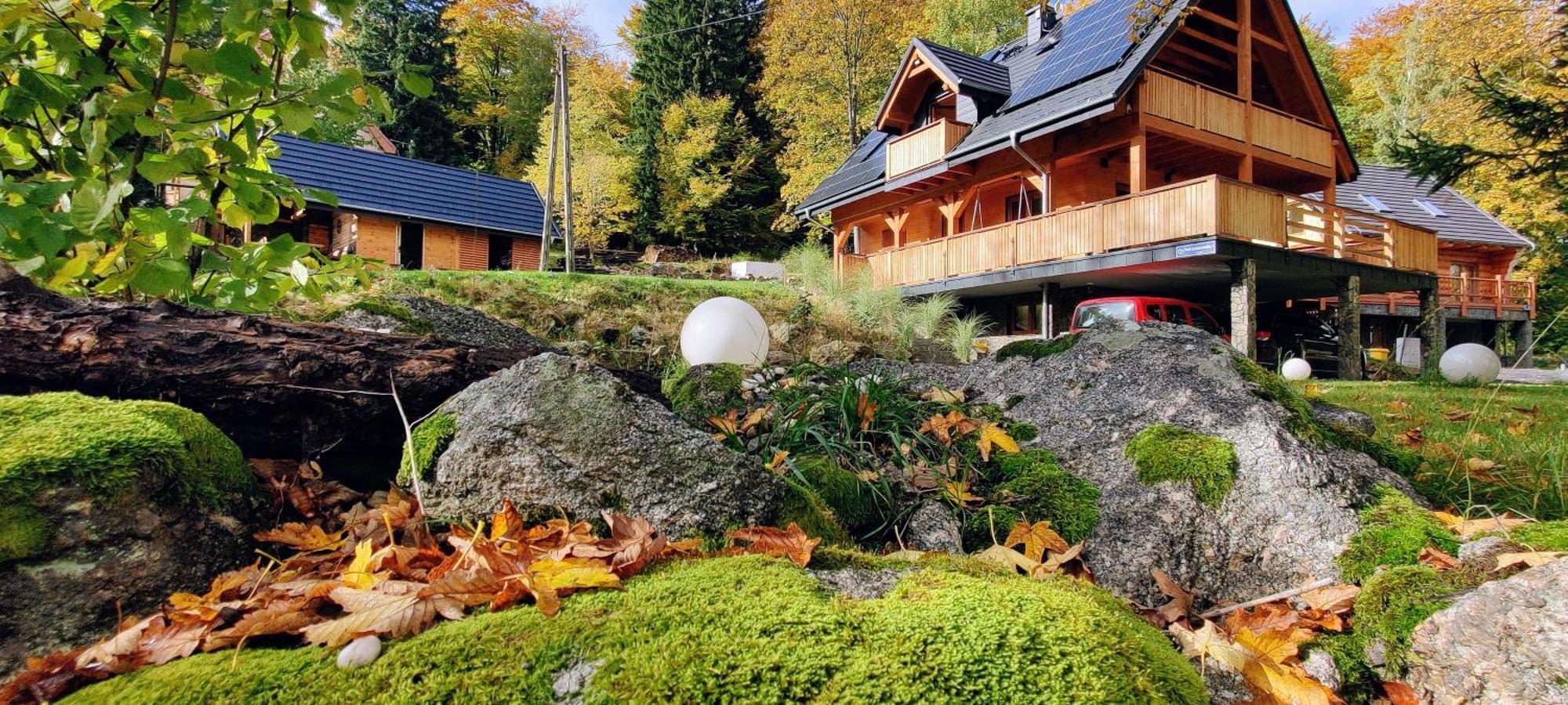 Villa Dom Pod Lesniczowka à Zachelmie  Extérieur photo